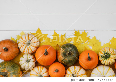 Pumpkins and maple leaves 57557558
