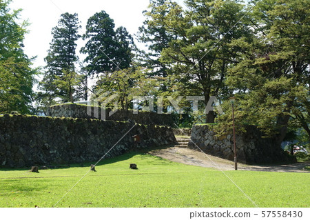 飯山城堡虎 57558430