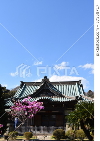 Yugyoji Hanamomo Fujisawa Yugyoji Hanamomo Fujisawa 57558717