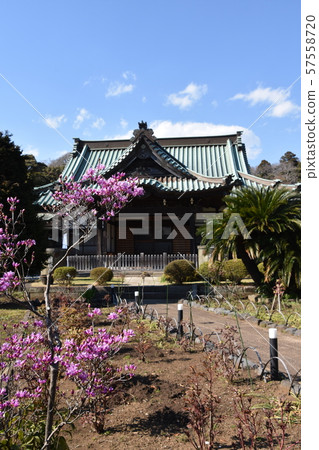 Yuiyoji Temple Fujisawa 57558720