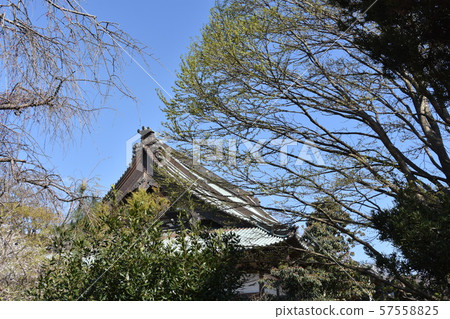 Yuiyoji Temple Fujisawa Yuiyoji Temple Fujisawa 57558825
