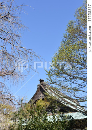 Yugyoji Temple Fujisawa Yugyoji Temple Fujisawa 57558827