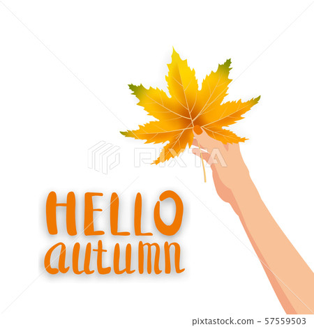 Hand hold autumn colorful leaf bright bouquet fall, floral. Hello Autumn lettering. Vector Hand hold autumn colorful leaf bright bouquet fall, floral. Hello Autumn lettering. Vector 57559503
