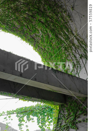 Inside Uji Station 57559819