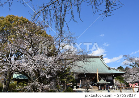 Yuiyoji Temple Fujisawa 57559837