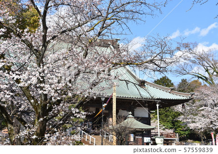 Yuiyoji Temple Fujisawa 57559839