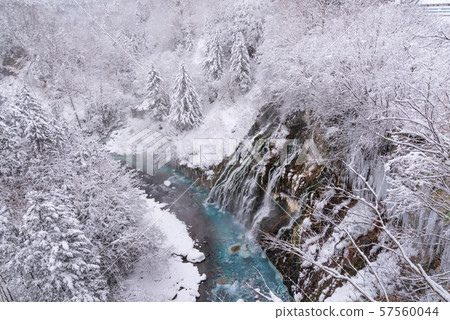 Winter Shiraito Falls / Sightseeing image of Biei-cho, Hokkaido 57560044