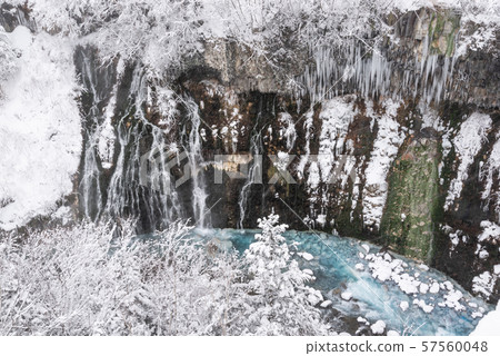 Winter Shiraito Falls / Sightseeing image of Biei-cho, Hokkaido 57560048