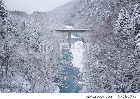 Winter Shiraito Falls / Sightseeing image of Biei-cho, Hokkaido 57560053