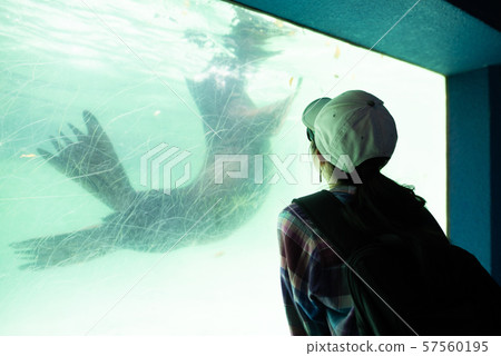 看水族館的婦女 看水族館的婦女 57560195