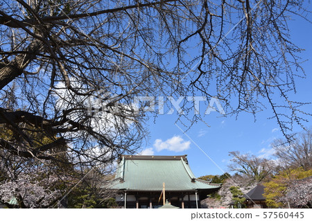 Yuiyoji Temple Fujisawa 57560445