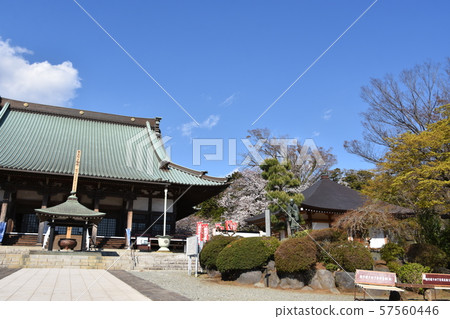 Yugyoji Temple Fujisawa 57560446