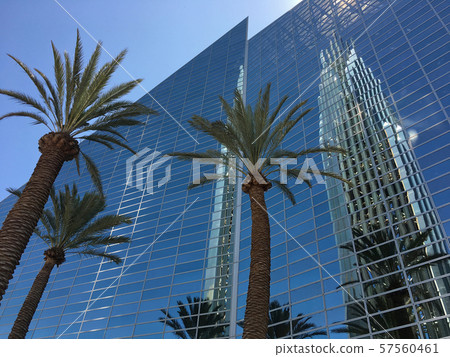 Reflection Reflection 57560461