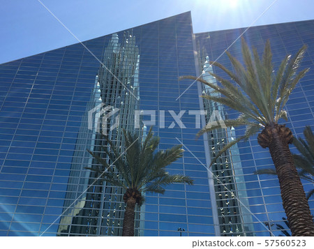 Palm reflection 57560523