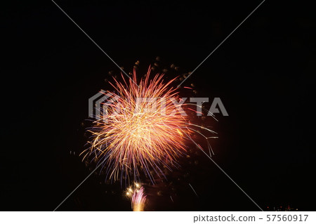 2019年江戶川煙花節 2019年江戶川煙花節 57560917