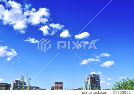 城市的藍天和白雲 城市的藍天和白雲 57560991