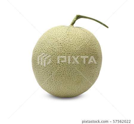 Rock Melon fruit on white background. 57562022