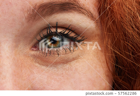 ginger girl with perfect appearance and eyes posing to the camera ginger girl with perfect appearance and eyes posing to the camera 57562286