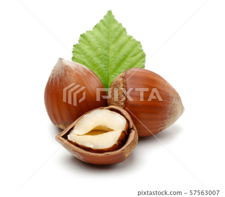 Hazelnuts with leaf isolated on white Hazelnuts with leaf isolated on white 57563007