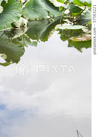 抹刀釣魚 57563221