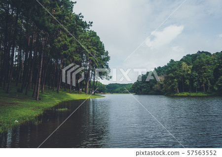 Pang Ung Reservoir, Travel Reservoir and Pine Forest 57563552