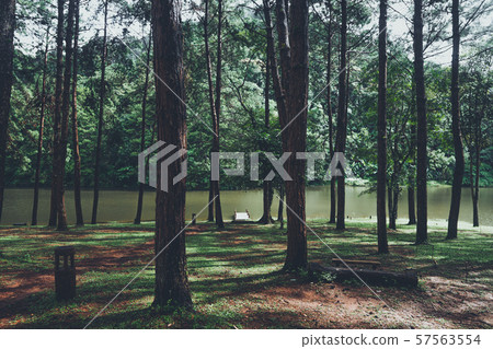 Pang Ung Reservoir, Travel Reservoir and Pine Forest 57563554