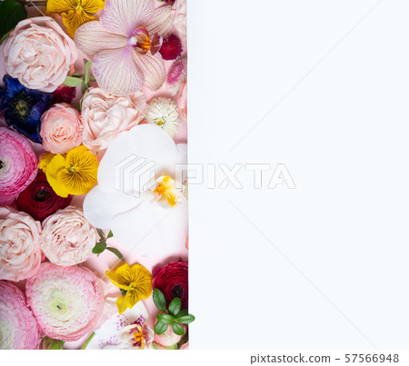 Flowers flat lay composition 57566948