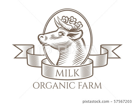 Cow engraving logo Cow engraving logo 57567203