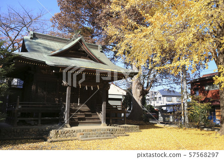 Kitano Tenmansha，Hachioji，東京 57568297