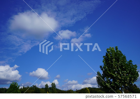 秋天的天空 秋天的天空 57568571