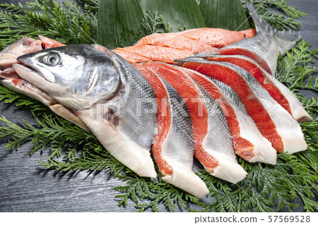 Delicious red salmon from Hokkaido 57569528