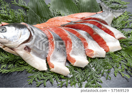 Delicious red salmon from Hokkaido 57569529