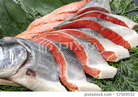 Delicious red salmon from Hokkaido 57569532