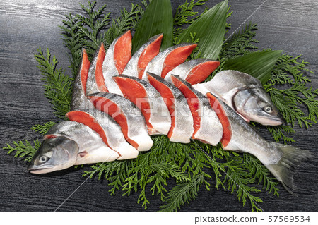 Delicious red salmon from Hokkaido Delicious red salmon from Hokkaido 57569534