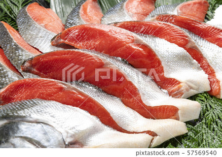 Delicious red salmon from Hokkaido 57569540