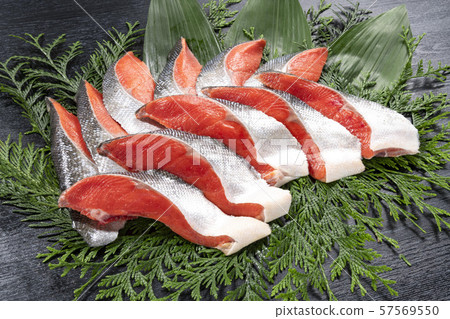 Delicious red salmon from Hokkaido 57569550