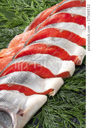 Delicious red salmon from Hokkaido 57569552