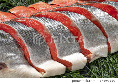 來自北海道的美味紅鮭魚 57569559