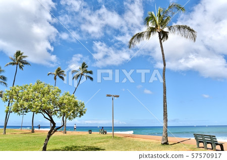 夏威夷的假期 夏威夷的假期 57570917