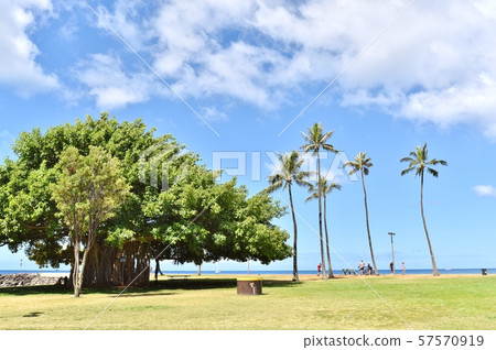 夏威夷的假期 夏威夷的假期 57570919