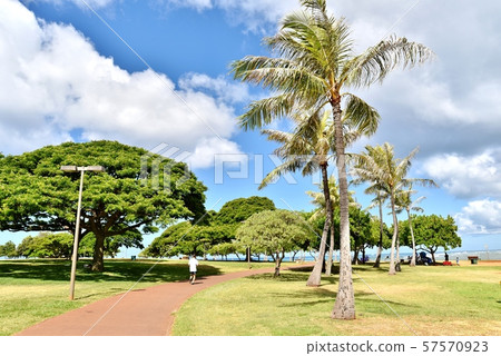 夏威夷的假期 夏威夷的假期 57570923