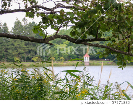 Scenery over the lake 57571883