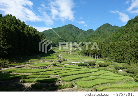 四谷千張 57572013