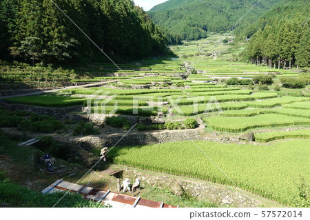 四谷千張 57572014