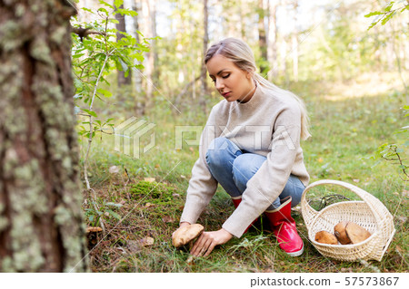 young woman picking mushrooms in autumn forest 57573867