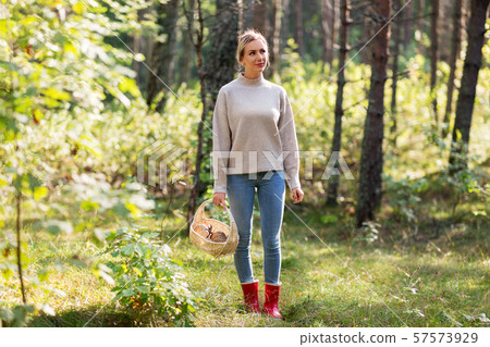 woman with basket picking mushrooms in forest woman with basket picking mushrooms in forest 57573929