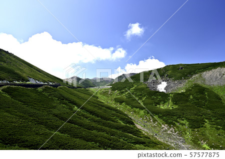 Norikuradake in summer (Location: Norikura, near Daikokudake) 57577875