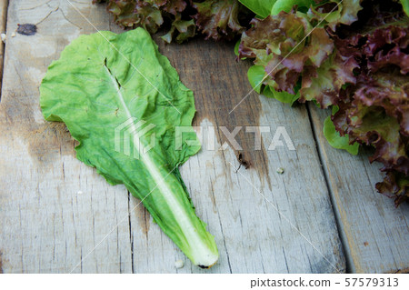 Leaves withered on wood. 57579313