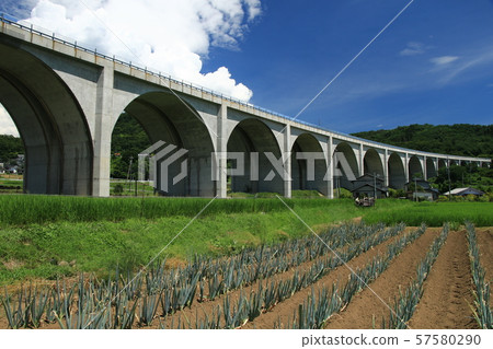 Daily life story 57580290