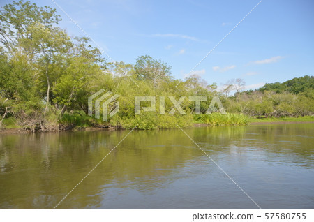 釧路濕地〜獨木舟遊輪（北海道） 57580755